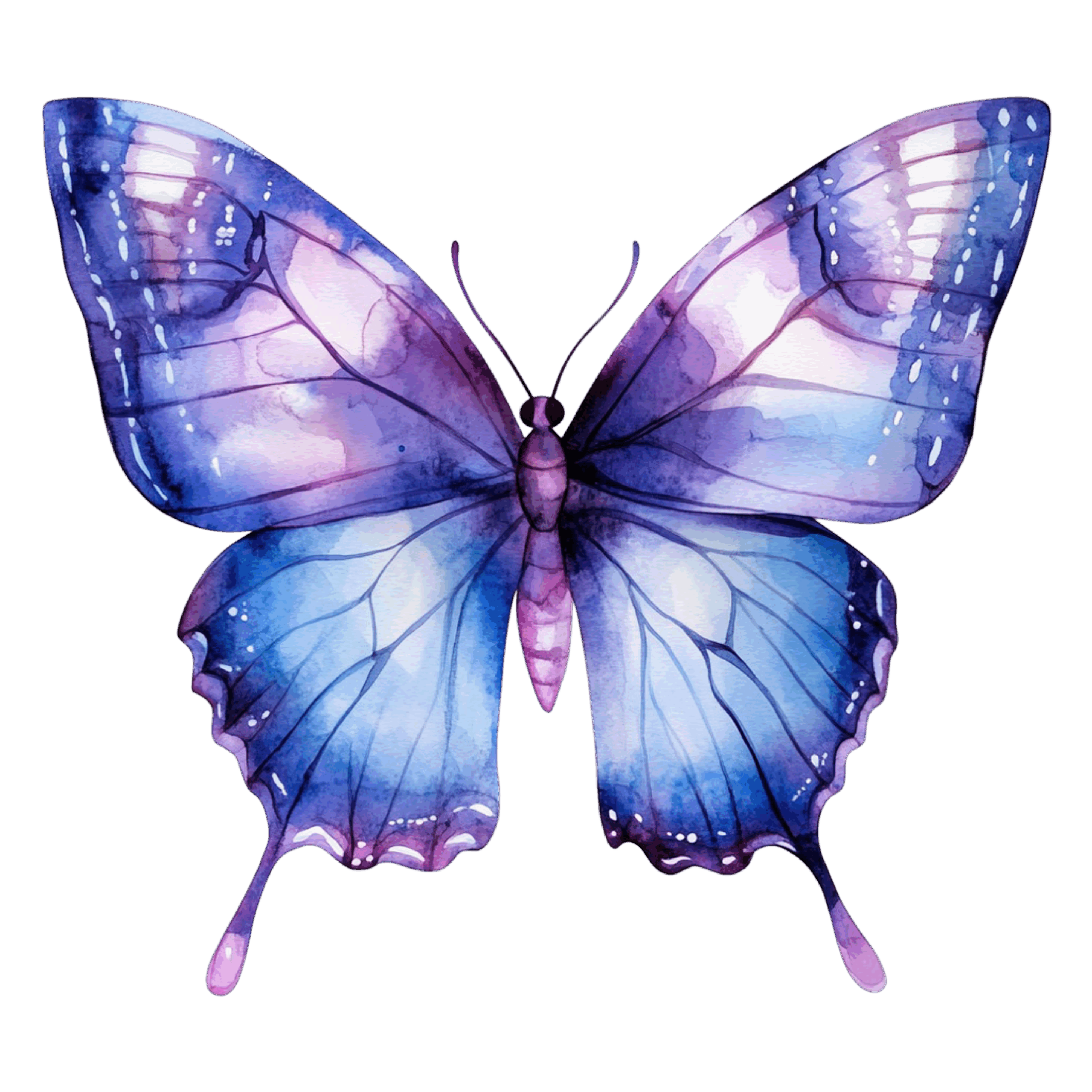 Colorful Drawing Butterfly Clipart (15)