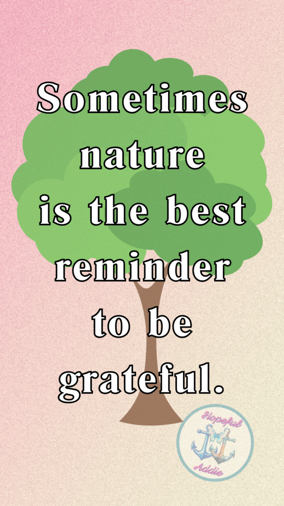 Thankful Thursday - Sometimes nature is the best reminder to be grateful.