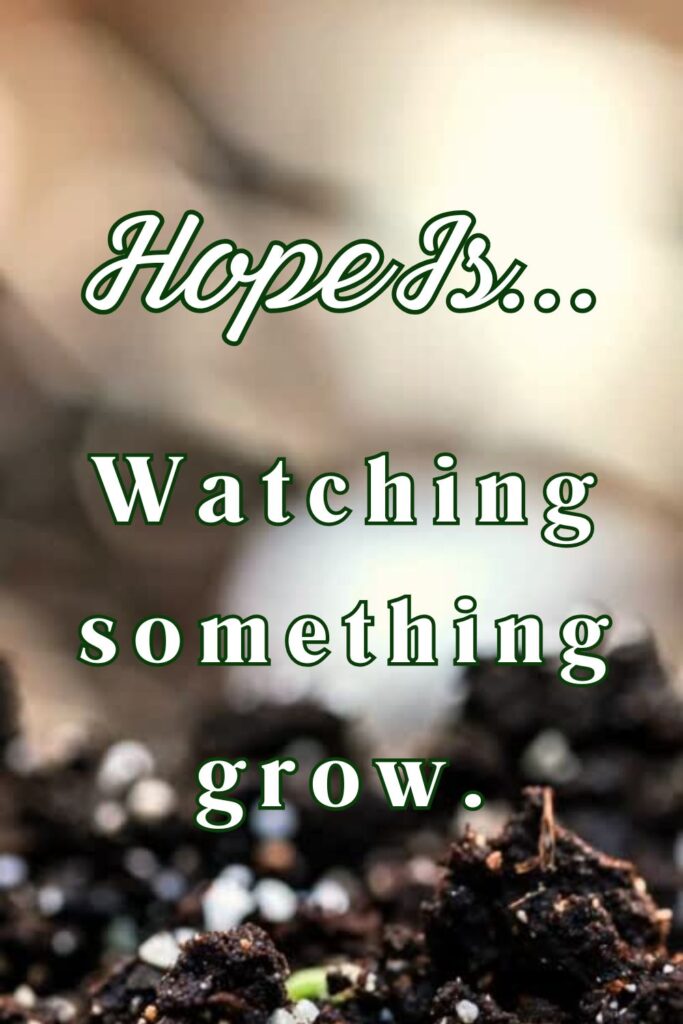 Hope is watching something grow - Pinterest pin of a plant in a garden and text